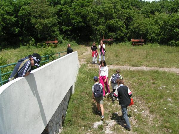 PICT0893 (web)